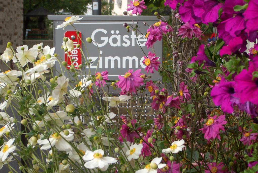 Gaestehaus Weberskirch Ernst Kültér fotó