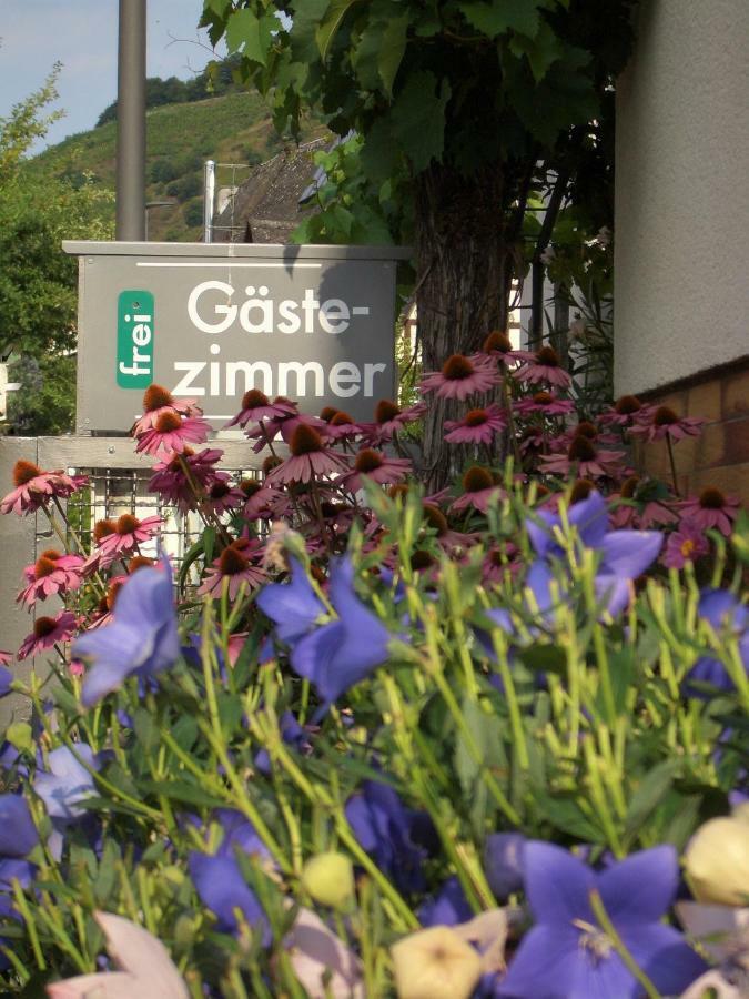 Gaestehaus Weberskirch Ernst Kültér fotó
